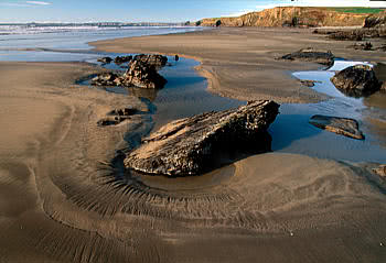 Sediment depositing on an exposed shore